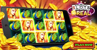 277 bet